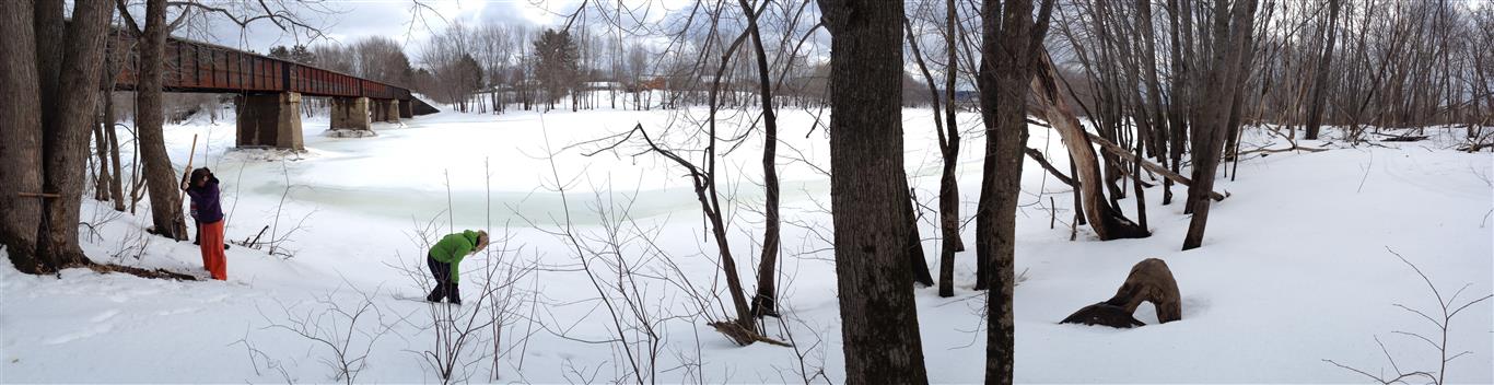 2014-03-21 16.43.40 (Medium)