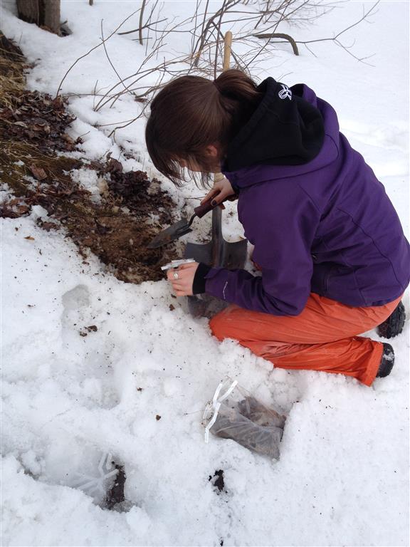 2014-03-21 16.46.42 (Medium)